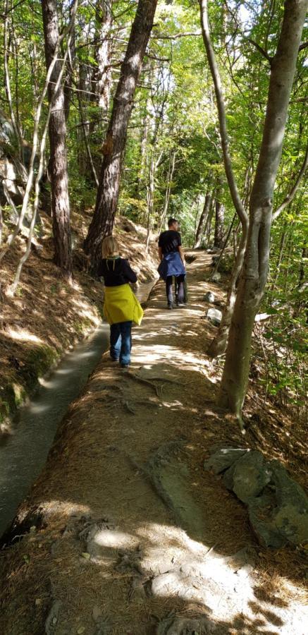 科尔德拉诺Langstein Bio Urlaub & Genuss别墅 外观 照片